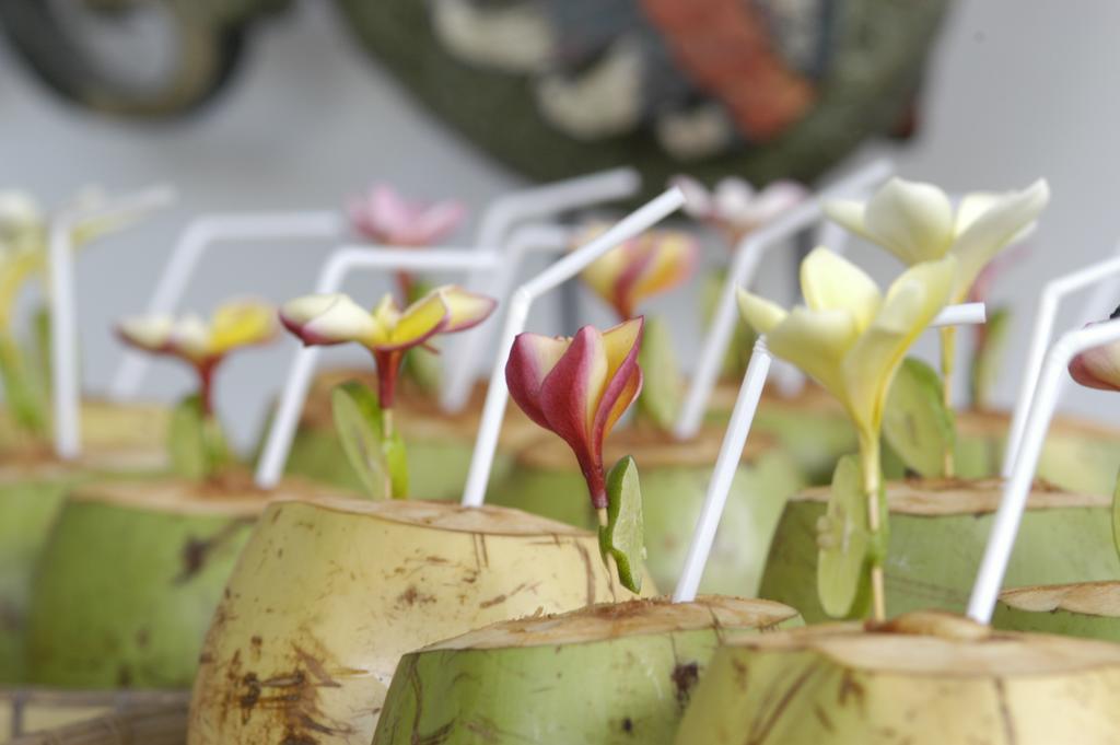 Alami Villa Ubud Kültér fotó