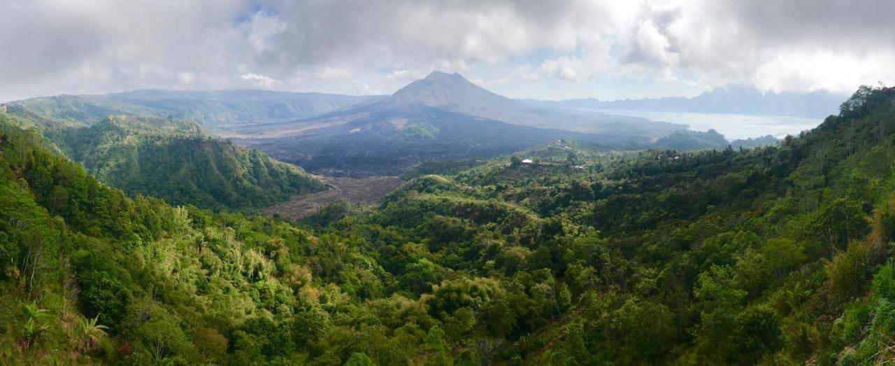 Alami Villa Ubud Kültér fotó