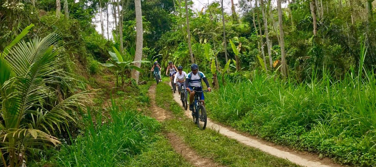 Alami Villa Ubud Kültér fotó